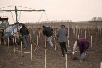 О ходе работ, выполненных в 2010 году в рамках аграрного проекта «Эльбузд»