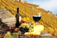 Дегустация вин Бургундии в гастро-баре Mozart Wine House