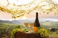 Summer Wine Fest в баре-бутике Piccolo