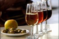 Дегустация крепленых вин в винном баре Mozart Wine House